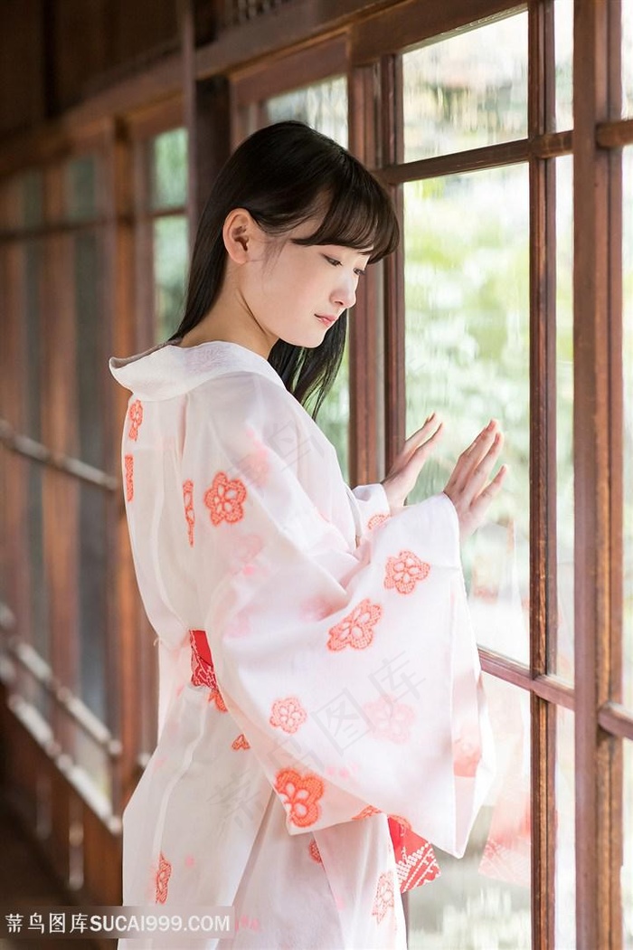 茜茜公主动画片