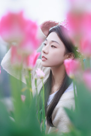 像火花像蝴蝶电视剧剧情介绍