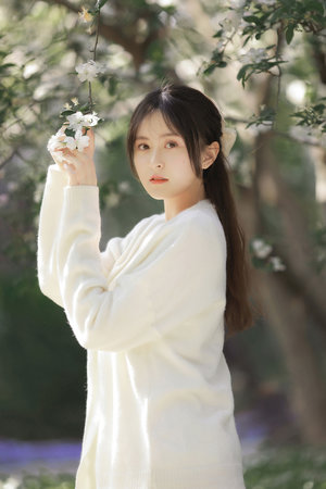 万能职业系统