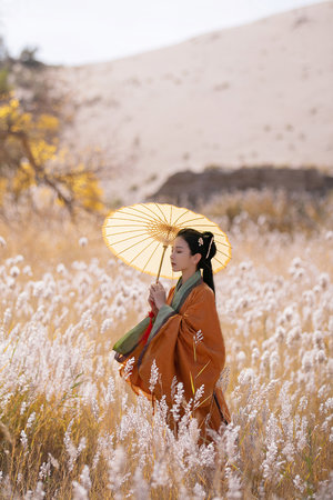 热带雨电影