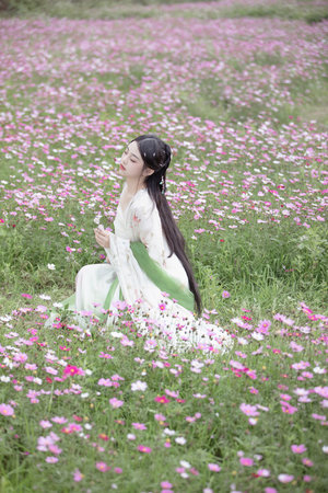 美女的黑森林