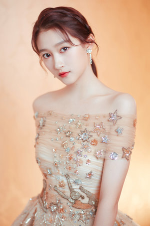 最佳女婿简介