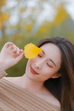 笑傲江湖霍建华版在线观看