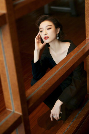 善良的妻子中文